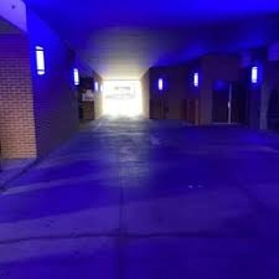 Dimly lit restaurant entrance corridor illuminated by blue lights, with brick walls and a bright doorway at the far end.